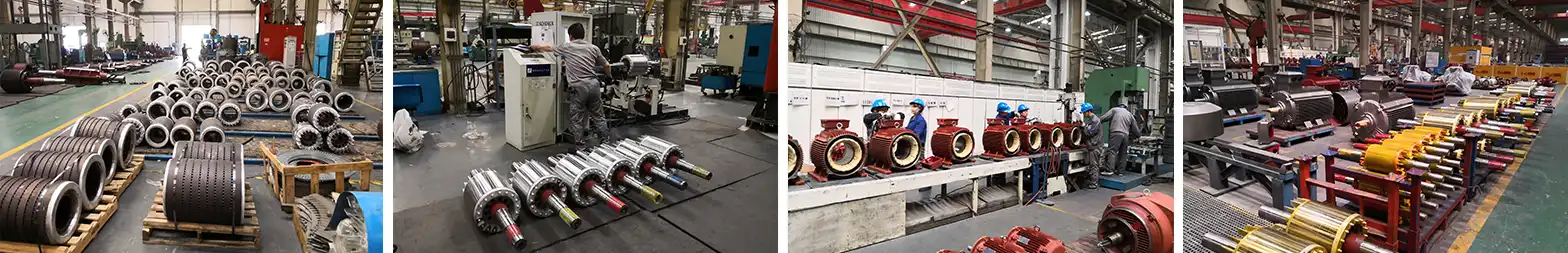 lv induction motor