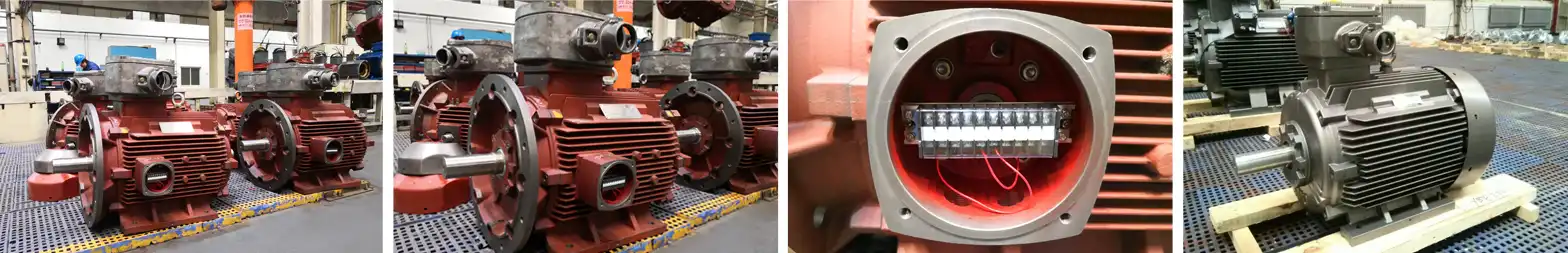 Explosion-proof motor