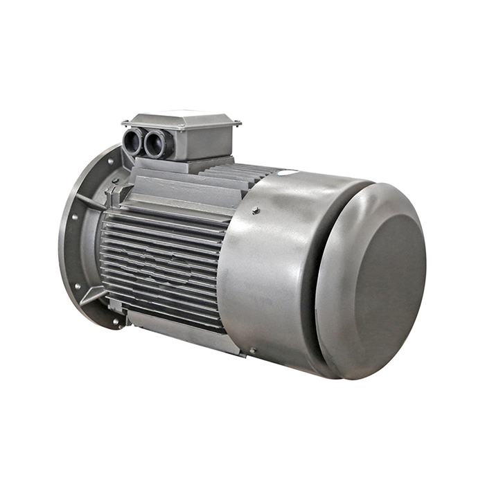Z Series Medium DC Motor Z Series Medium DC Motor