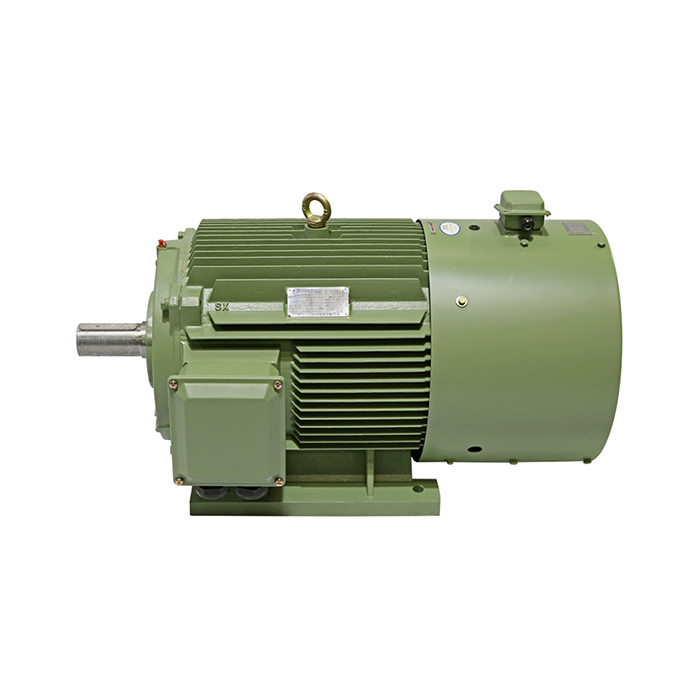inverter duty induction motor