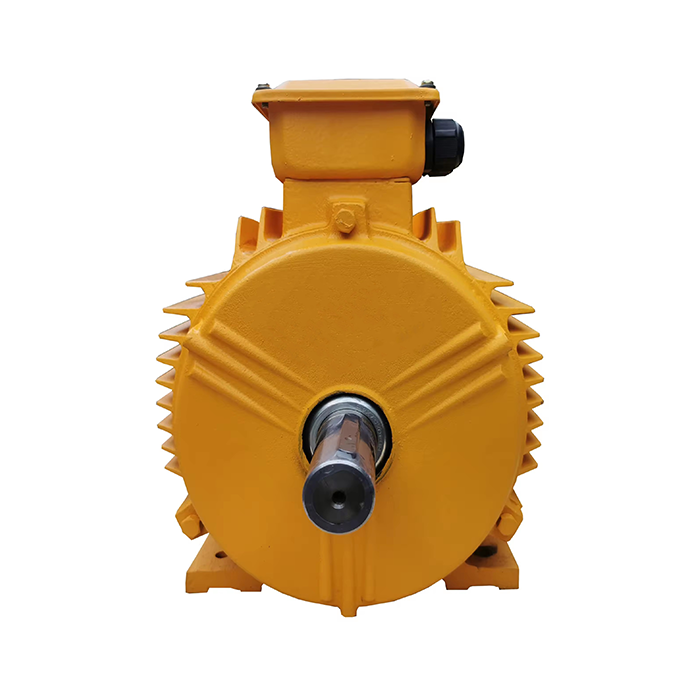  Z Series Medium DC Motor