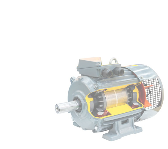 Low Volt AC Motor